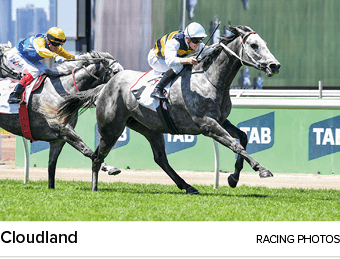 Cloudland racing photo