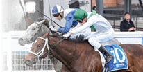 Ferivia ridden by Lachlan Neindorf wins the Tile Importer Quezette Stakes at Caulfield Racecourse on August 16, 2025 in Caulfield, Australia. (Photo by George Sal/Racing Photos)