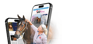 WhatsApp Chat Interface on Mobile Phone Mockup