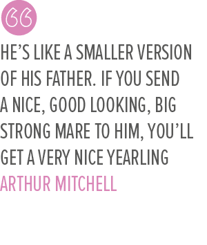 He’s like a smaller version of his father. If you send a nice, good looking, big strong mare to him, you’ll get a ver...