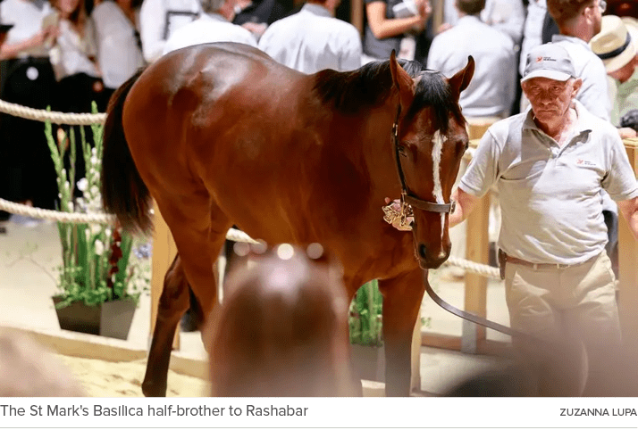 The St Mark's Basilica half brother to Rashabar ZUZANNA LUP