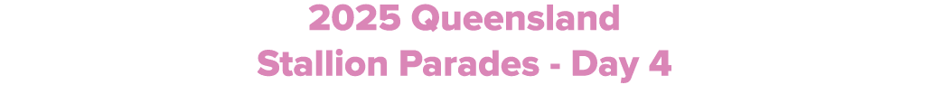2025 Queensland Stallion Parades Day 4
