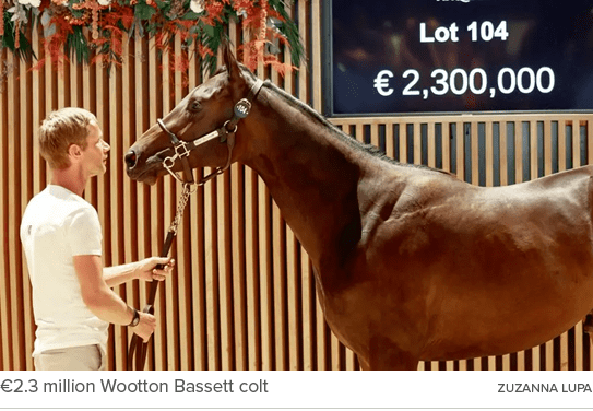 €2.3 million Wootton Bassett colt ZUZANNA LUP