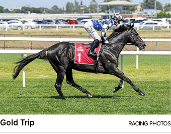 Gold Trip racing photo