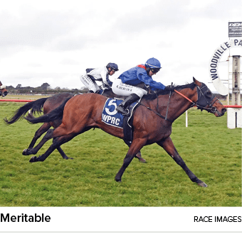 Meritable Race Image