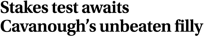 Stakes test awaits Cavanough’s unbeaten filly