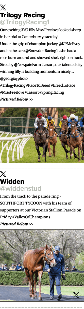 ￼ Trilogy Racing @TrilogyRacing1 Our exciting 3YO filly Miss Freelove looked sharp in her trial at Canterbury yesterd...