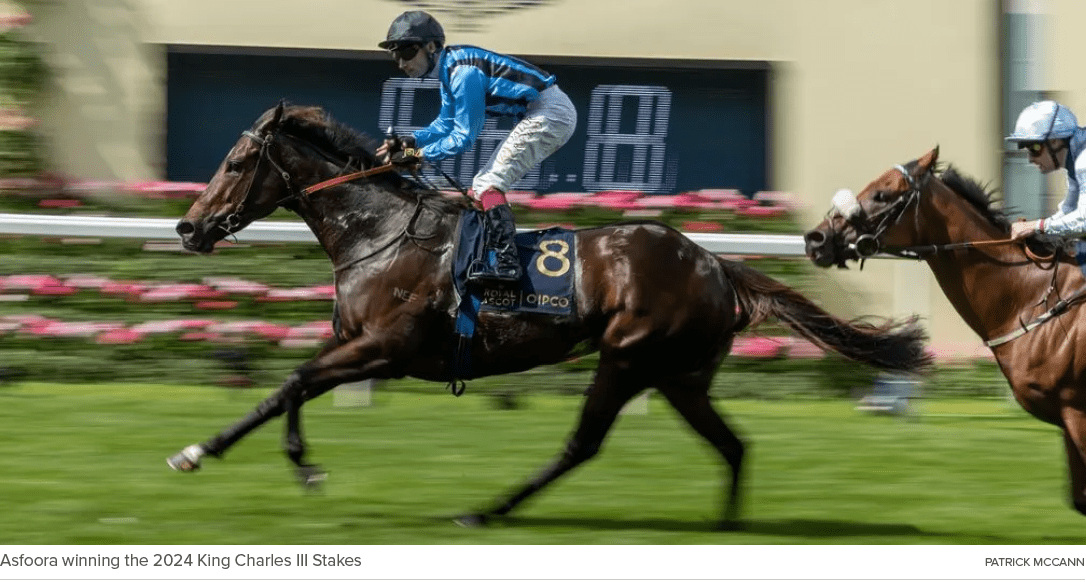 Asfoora winning the 2024 King Charles III Stakes Patrick McCan