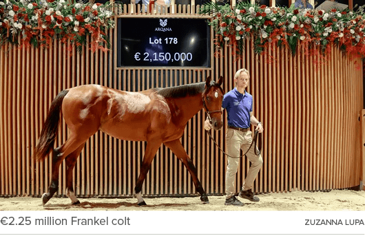 €2.25 million Frankel colt Zuzanna Lup