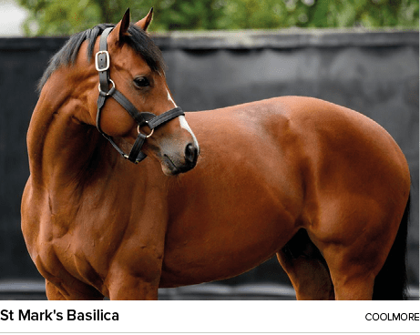 St Mark's Basilica Coolmor