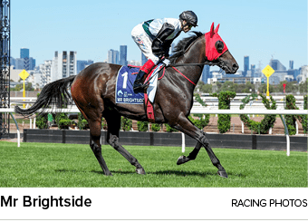 Mr Brightside racing photo