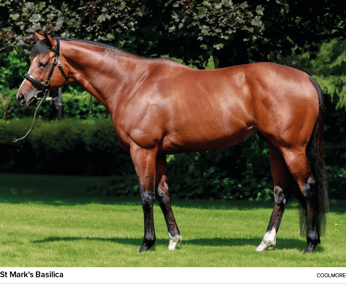 St Mark's Basilica Coolmor