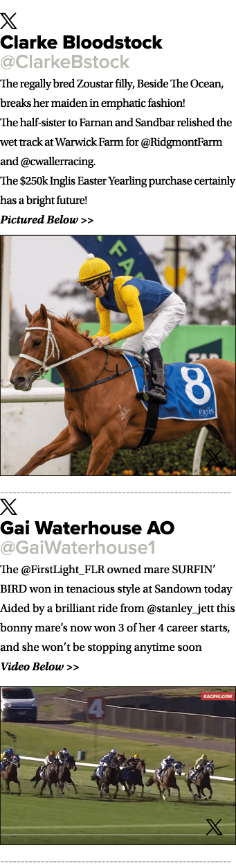 ￼ Clarke Bloodstock @ClarkeBstock The regally bred Zoustar filly, Beside The Ocean, breaks her maiden in emphatic fas...