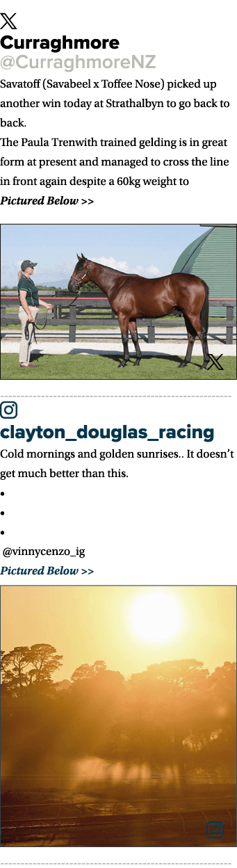 ￼ Curraghmore @CurraghmoreNZ Savatoff (Savabeel x Toffee Nose) picked up another win today at Strathalbyn to go back ...