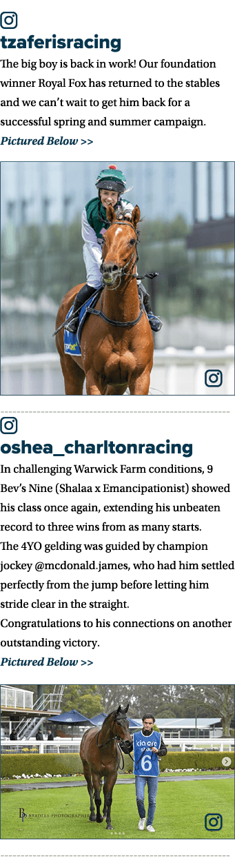 ￼ tzaferisracing The big boy is back in work! Our foundation winner Royal Fox has returned to the stables and we can’...