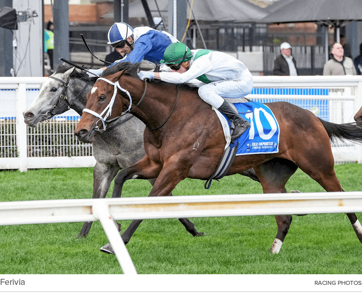 Ferivia Racing Photo