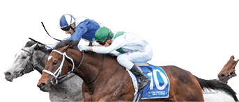 Ferivia ridden by Lachlan Neindorf wins the Tile Importer Quezette Stakes at Caulfield Racecourse on August 16, 2025 in Caulfield, Australia. (Photo by George Sal/Racing Photos)