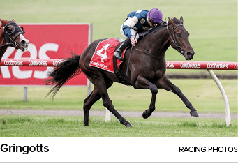 Gringotts RACING PHOTO