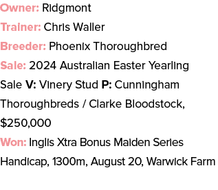 Owner: Ridgmont Trainer: Chris Waller Breeder: Phoenix Thoroughbred Sale: 2024 Australian Easter Yearling Sale V: Vin...