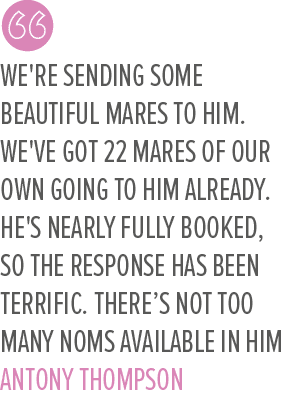 We're sending some beautiful mares to him. We've got 22 mares of our own going to him already. He's nearly fully book...