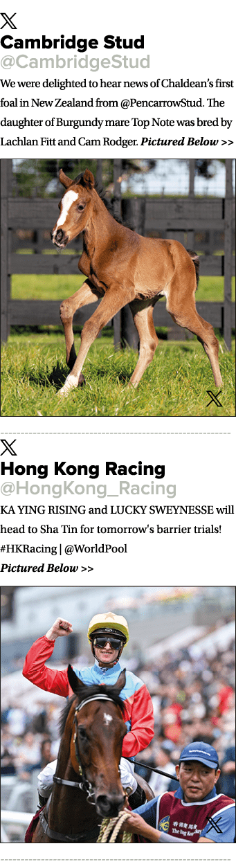 ￼ Cambridge Stud @CambridgeStud We were delighted to hear news of Chaldean’s first foal in New Zealand from @Pencarro...