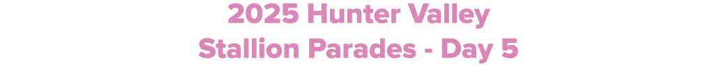 2025 Hunter Valley Stallion Parades Day 5