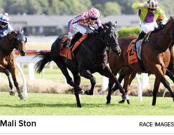 Mali Ston race image