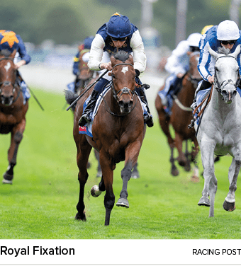 Royal Fixation racing pos