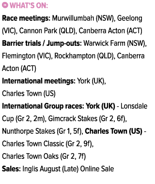 ￼ What's on: Race meetings: Murwillumbah (NSW), Geelong (VIC), Cannon Park (QLD), Canberra Acton (ACT) Barrier trials...