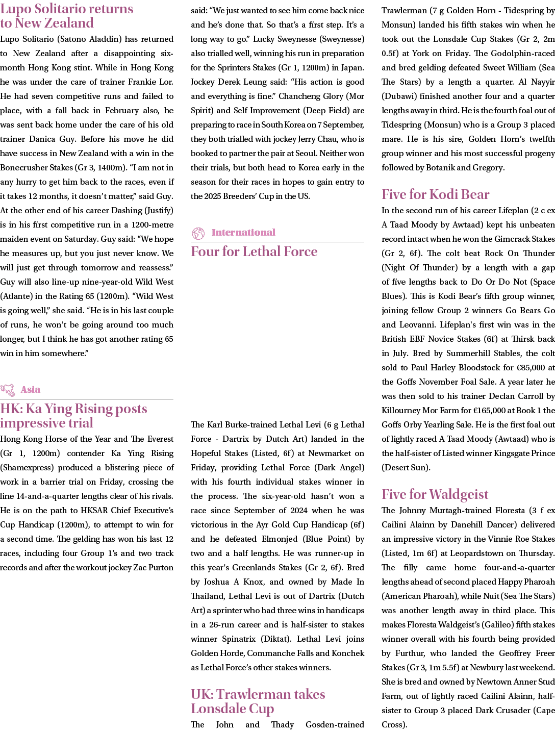 Lupo Solitario returns to New Zealand Lupo Solitario (Satono Aladdin) has returned to New Zealand after a disappointi...