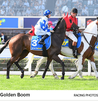 Golden Boom racing photo