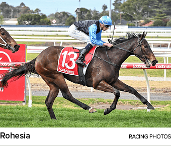 Rohesia racing photo