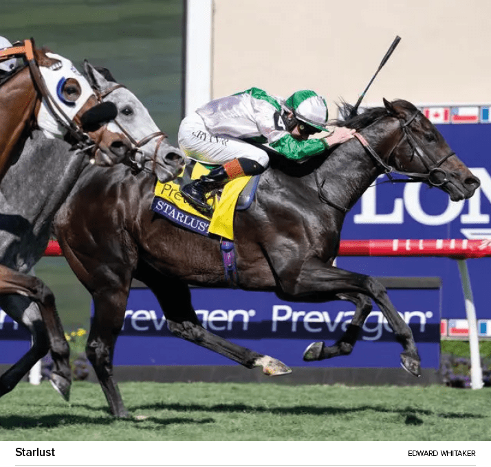 Starlust Edward Whitake