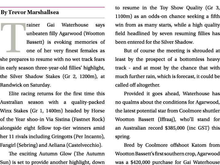 ￼ Trainer Gai Waterhouse says unbeaten filly Agarwood (Wootton Bassett) is evoking memories of one of her very finest...