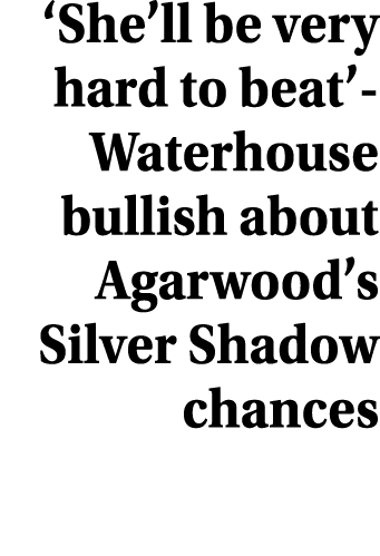 ‘She’ll be very hard to beat’ Waterhouse bullish about Agarwood’s Silver Shadow chances