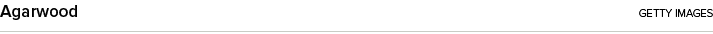 Agarwood getty images