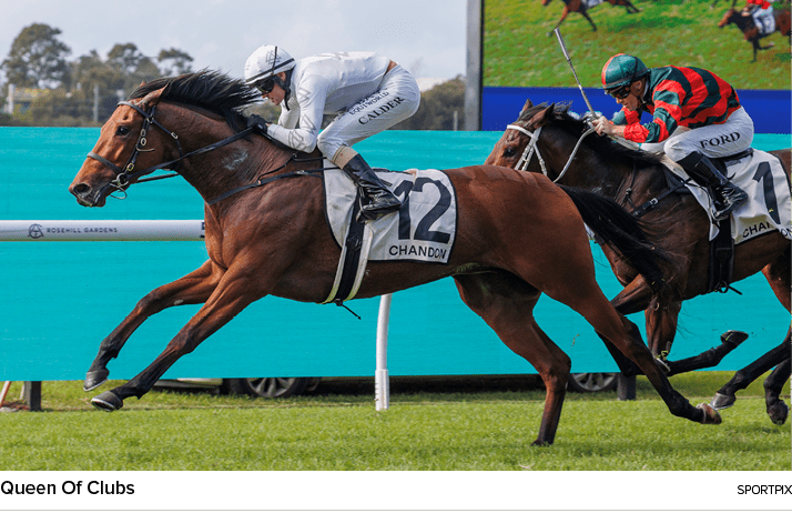 Queen Of Clubs sportpi