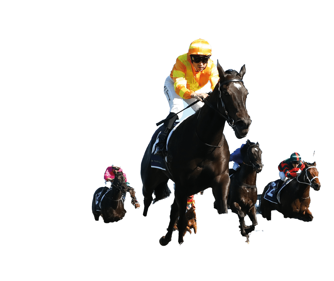 SYDNEY, AUSTRALIA - MAY 24: Adam Hyeronimus riding Agarwood win Race 1 Sporting Chance Cancer Foundation Handicap during Sydney Racing at Royal Randwick Racecourse on May 24, 2025 in Sydney, Australia. (Photo by Jeremy Ng/Getty Images)
