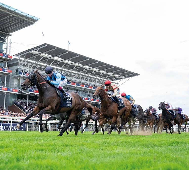 Asfoora (Oisin Murphy) wins the Nunthorpe York 22.8.25 Pic: Edward Whitaker