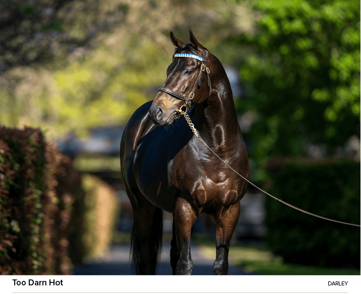 Too Darn Hot Darle