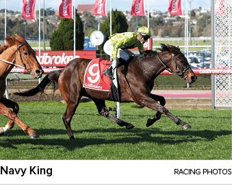 Navy King Racing photo