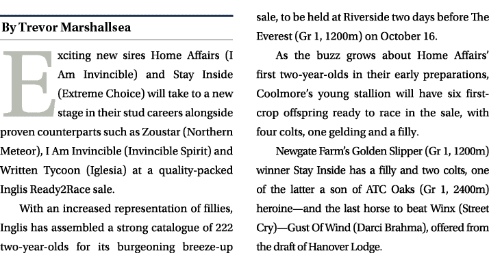 ￼ Exciting new sires Home Affairs (I Am Invincible) and Stay Inside (Extreme Choice) will take to a new stage in thei...