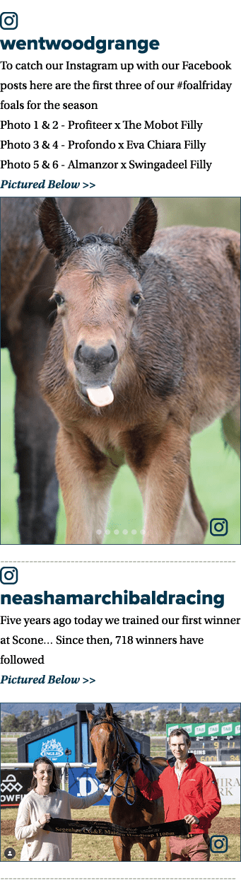 ￼ wentwoodgrange To catch our Instagram up with our Facebook posts here are the first three of our #foalfriday foals ...