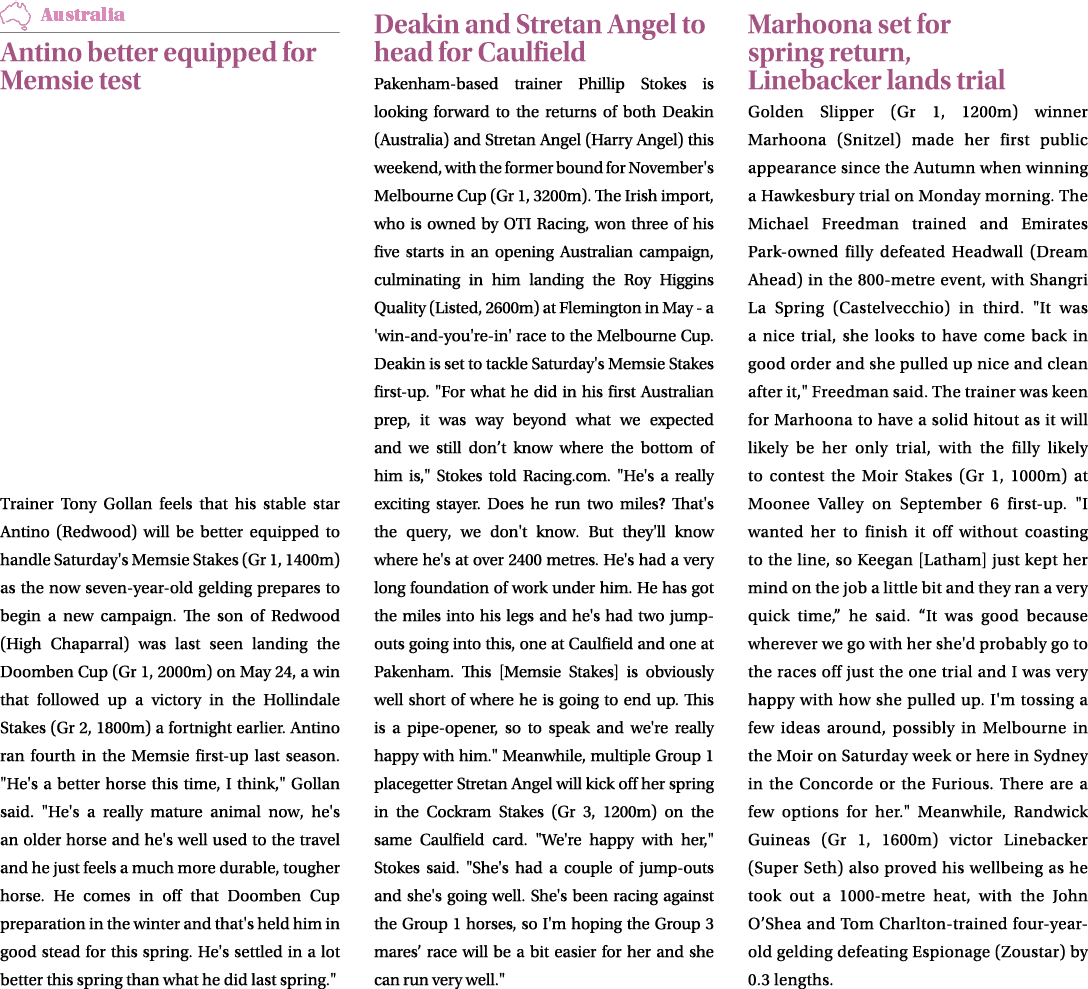 ￼ Antino better equipped for Memsie test Trainer Tony Gollan feels that his stable star Antino (Redwood) will be bett...