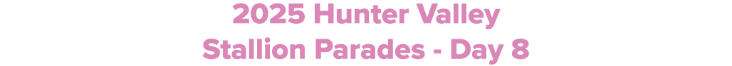 2025 Hunter Valley Stallion Parades Day 8