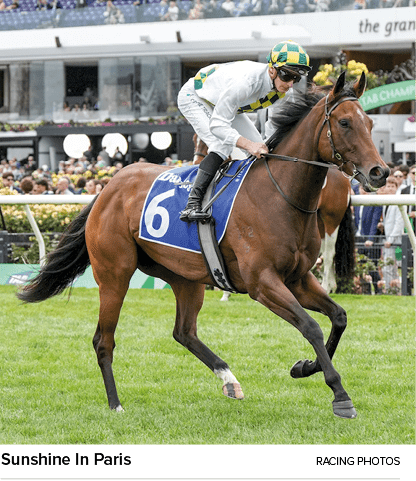 Sunshine In Paris Racing photo