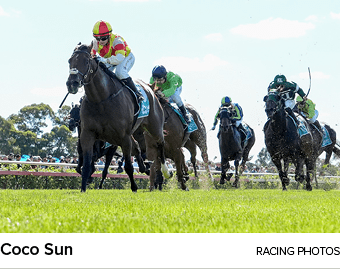 Coco Sun racing photo