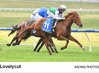 Lovelycut racing photo