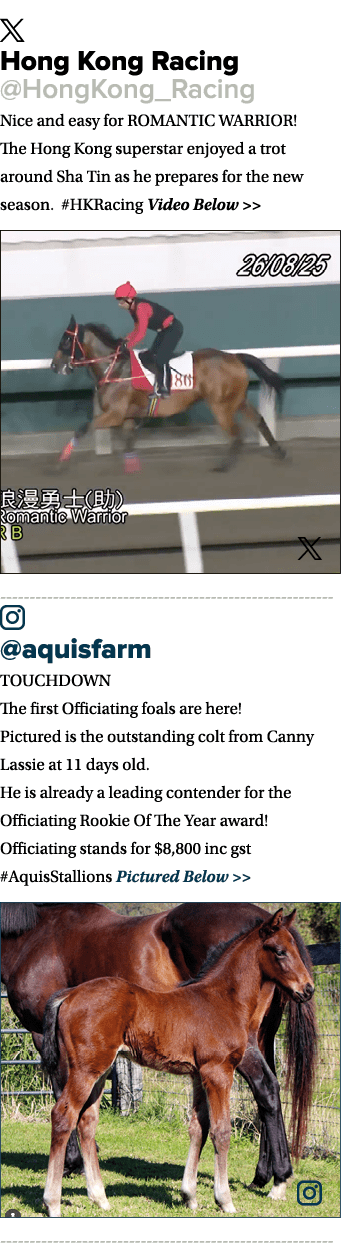 ￼ Hong Kong Racing @HongKong_Racing Nice and easy for ROMANTIC WARRIOR! The Hong Kong superstar enjoyed a trot around...