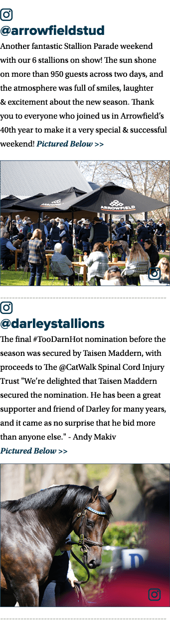 ￼ @arrowfieldstud Another fantastic Stallion Parade weekend with our 6 stallions on show! The sun shone on more than ...